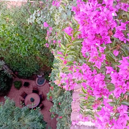 Riad Lumieres Du Sud Marrakesh Extérieur photo